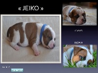 JEIKO 